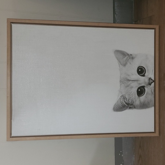 Large 18x24 inch Baby Kitten Canvas with wood frame - Picture 1 of 3